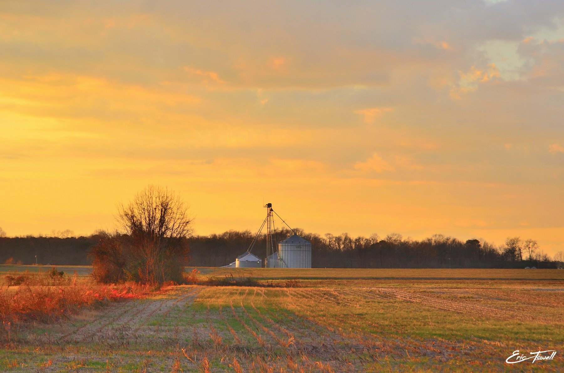 A quiet field and farm silos in golden light