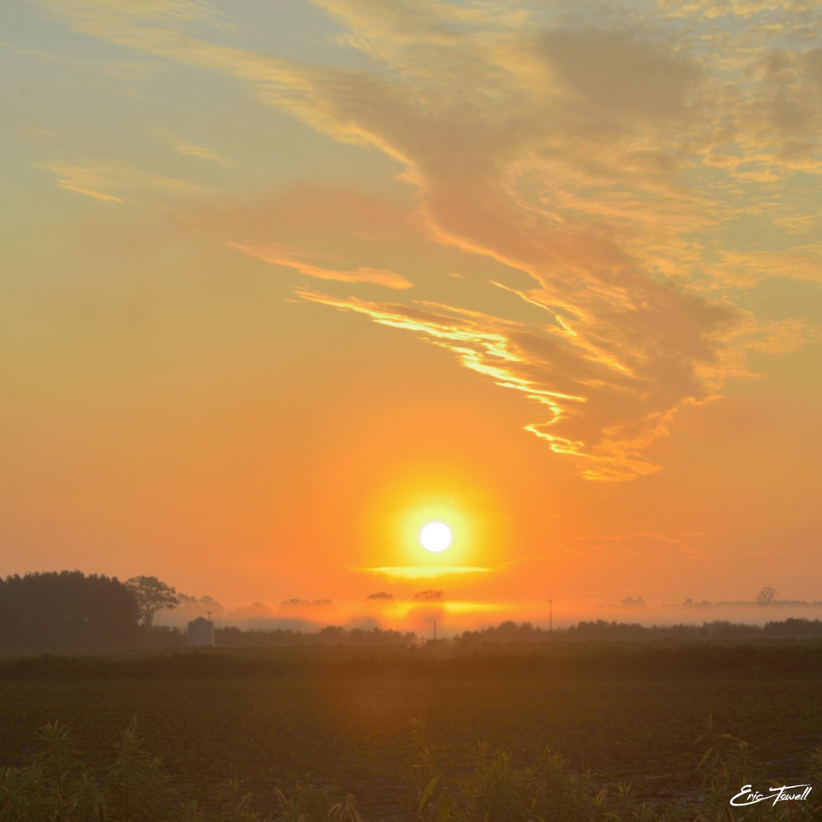 Sunrise over an open field