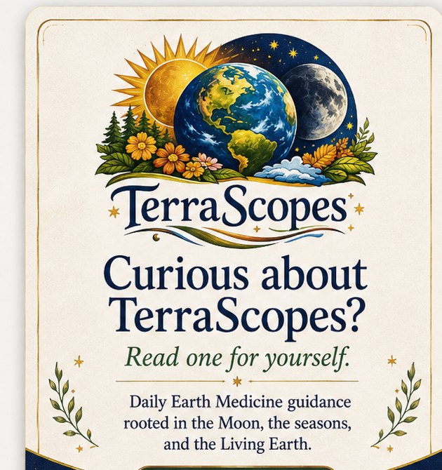TerraScopes Earth Medicine artwork